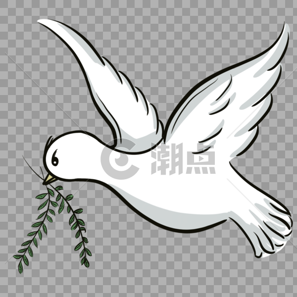 白色的和平鸽图片素材免费下载