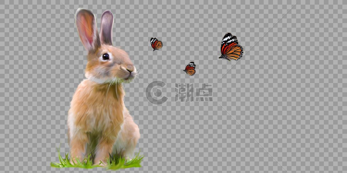兔子和蝴蝶图片素材免费下载