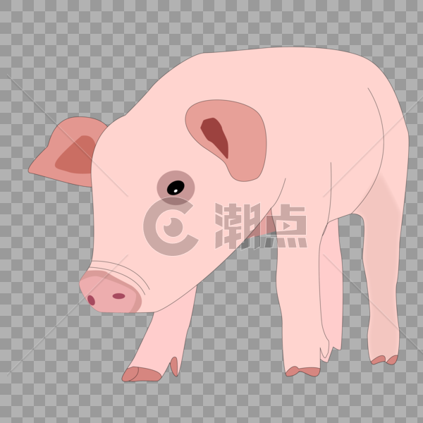 卡通手绘可爱动物粉色小猪图片素材免费下载