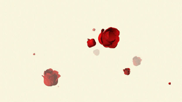 透明通道向前飘的玫瑰花朵GIF图片素材免费下载