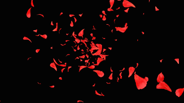 三维花瓣背景GIF图片素材免费下载