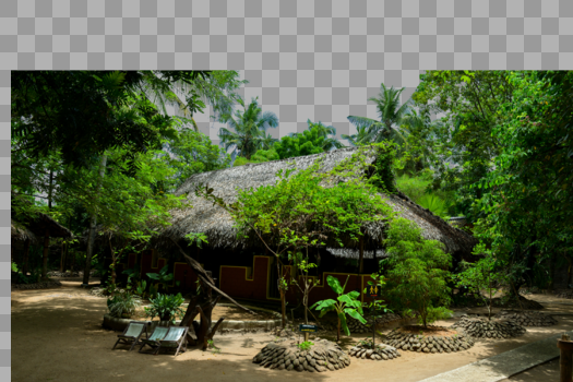 椰林木屋图片素材免费下载