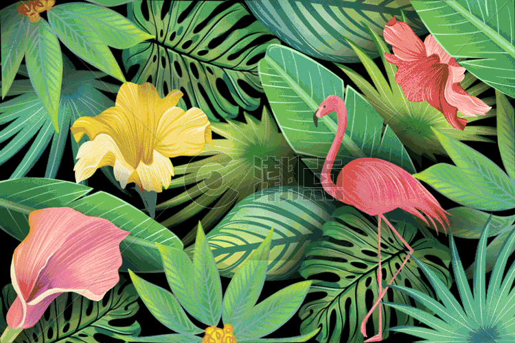 热带植物背景GIF动图图片素材免费下载