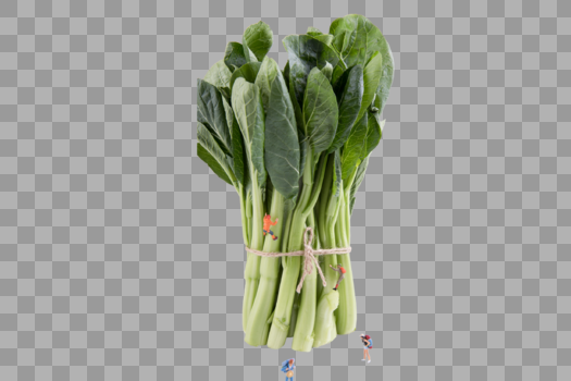 一捆蔬菜图片素材免费下载