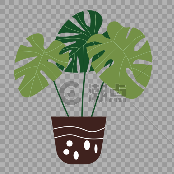 夏季热带植物盆栽绿植图片素材免费下载