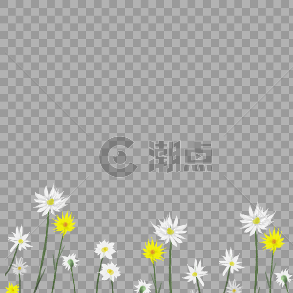 黄白花朵装饰插画图片素材免费下载
