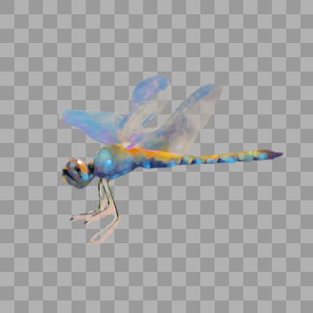 一只蜻蜓图片素材免费下载