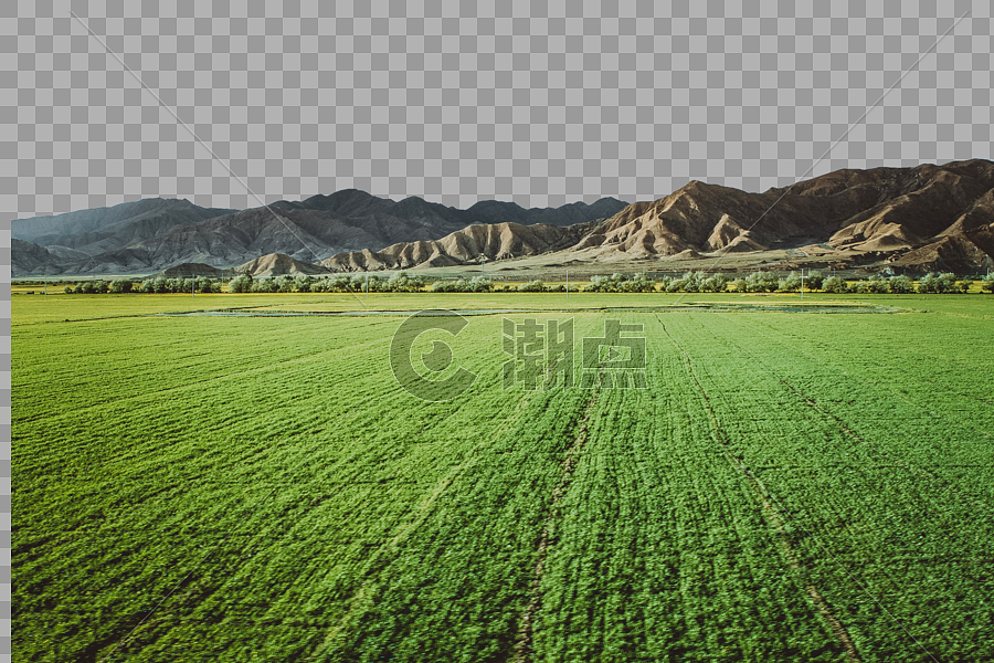 青藏高原的农田图片素材免费下载