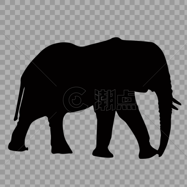 大象图片素材免费下载