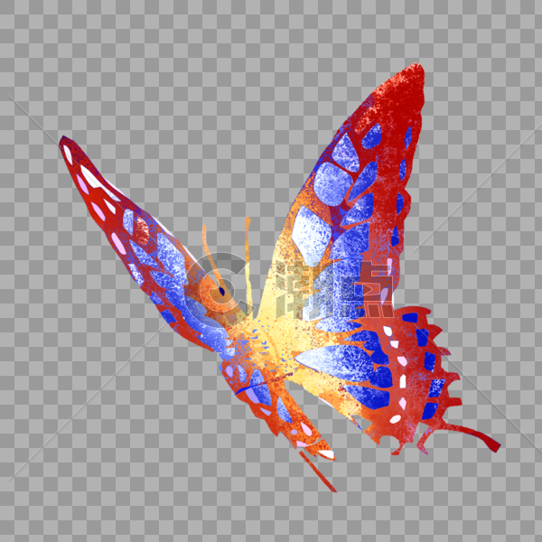 飞翔的蝴蝶图片素材免费下载