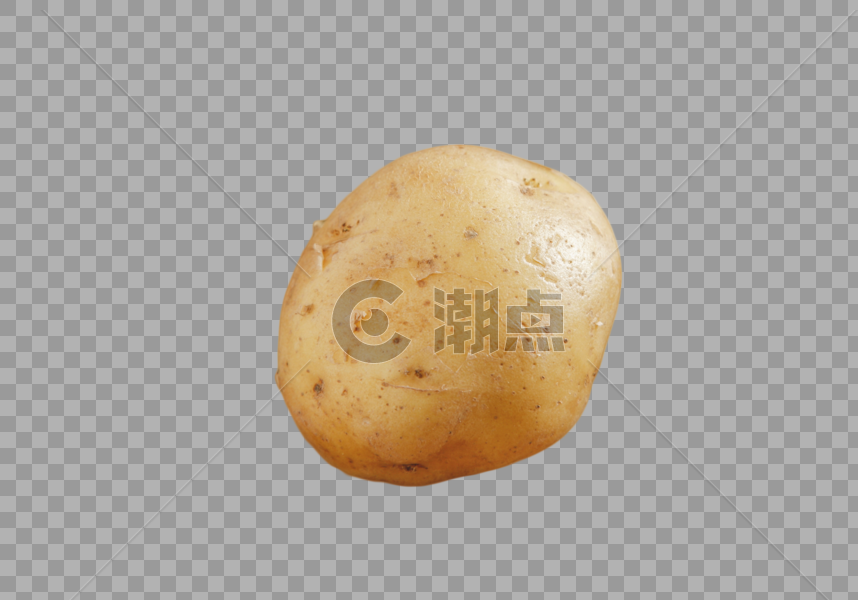 营养的大土豆图片素材免费下载