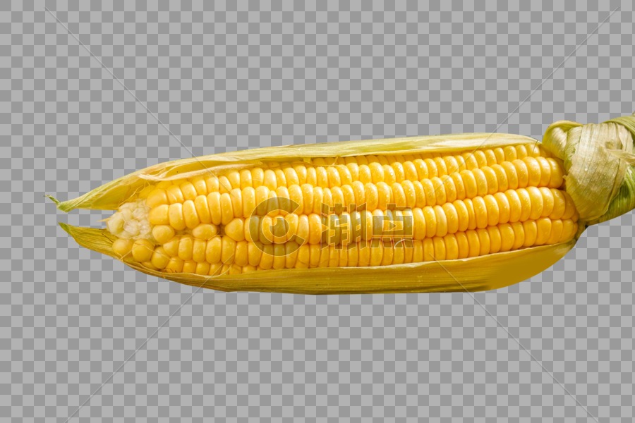 营养的玉米图片素材免费下载