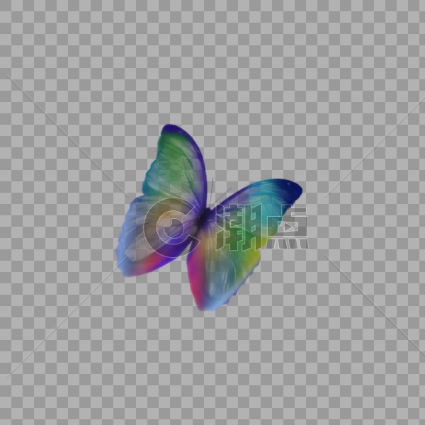 彩色的蝴蝶图片素材免费下载