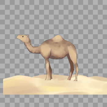 世界防旱骆驼装饰图片素材免费下载