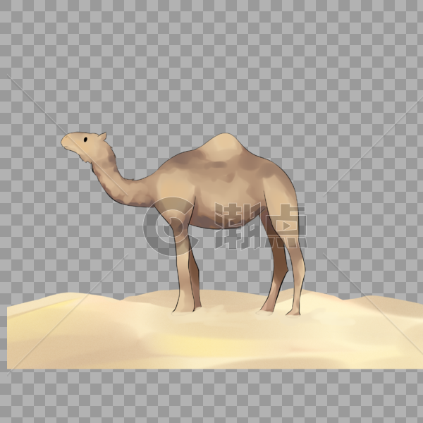 世界防旱骆驼装饰图片素材免费下载