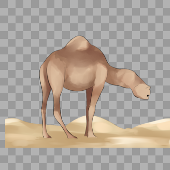 骆驼日装饰素材图案图片素材免费下载