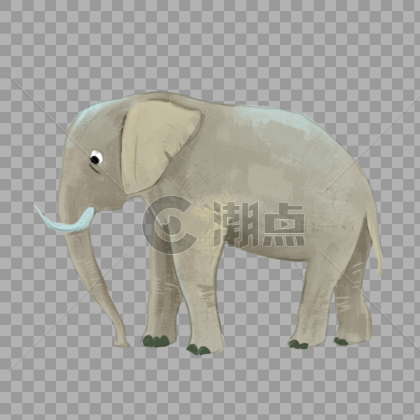 大象图片素材免费下载