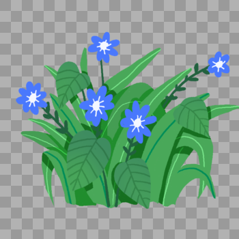 蓝色小花和植物素材图片素材免费下载