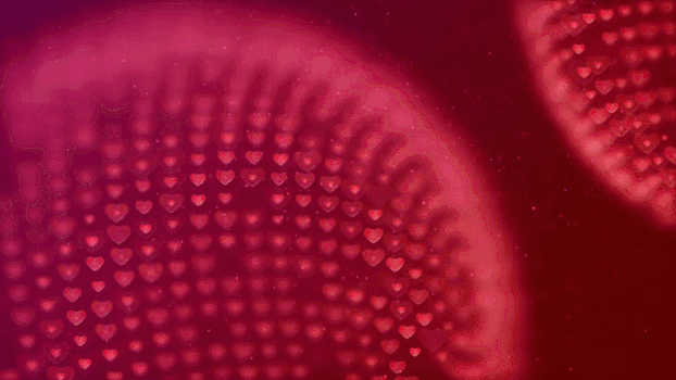 红色粒子心爱情背景GIF图片素材免费下载