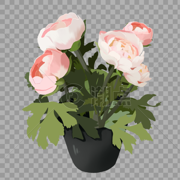 手绘粉色玫瑰花卉盆栽元素图片素材免费下载