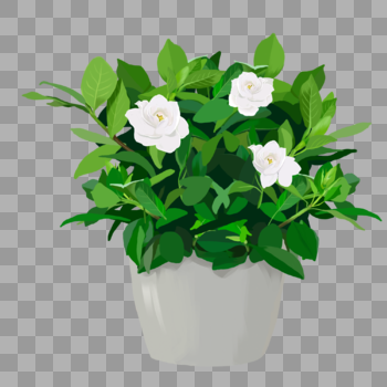 手绘绿色栀子花花卉盆栽元素图片素材免费下载