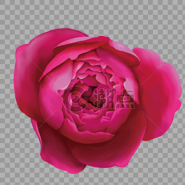 手绘红色玫瑰花花卉元素图片素材免费下载
