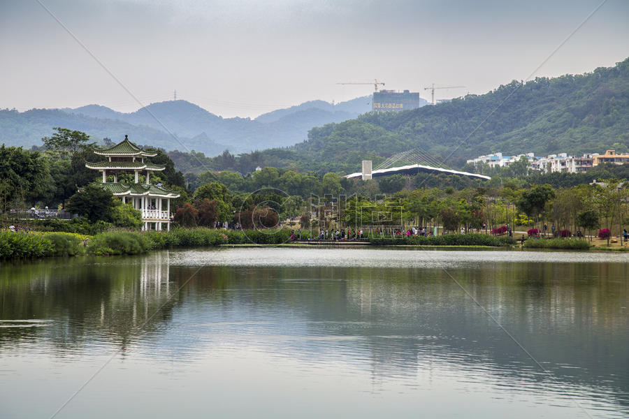 深圳的公园图片素材免费下载