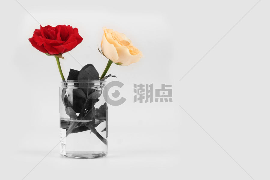 插花作品花瓶里的玫瑰图片素材免费下载