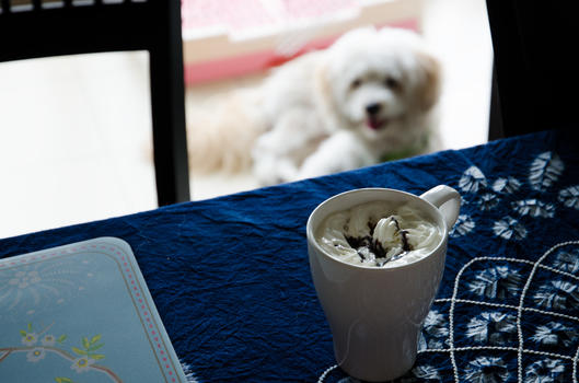 狗狗看着桌子上的奶油咖啡图片素材免费下载