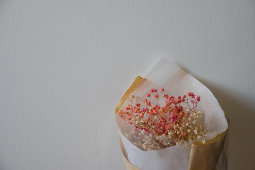 白色简洁背景的温馨的粉色干花朵图片素材免费下载