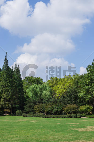 蓝天白云树林绿意风景图片素材免费下载