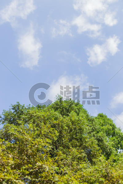 蓝天白云树林绿意风景图片素材免费下载