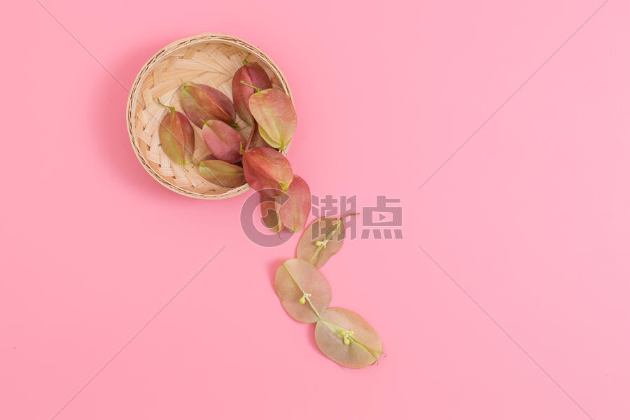 清新竹篮红果树叶创意摆拍图片素材免费下载