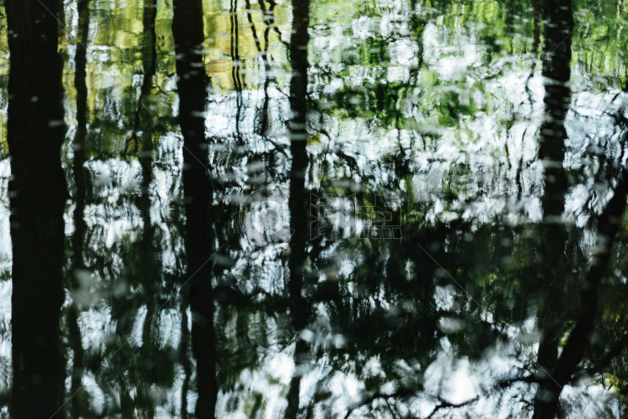 水面树林的倒影图片素材免费下载