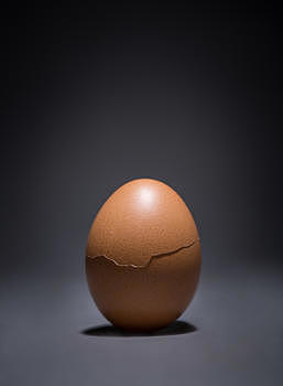 鸡蛋鸡蛋壳创意拍摄图片素材免费下载