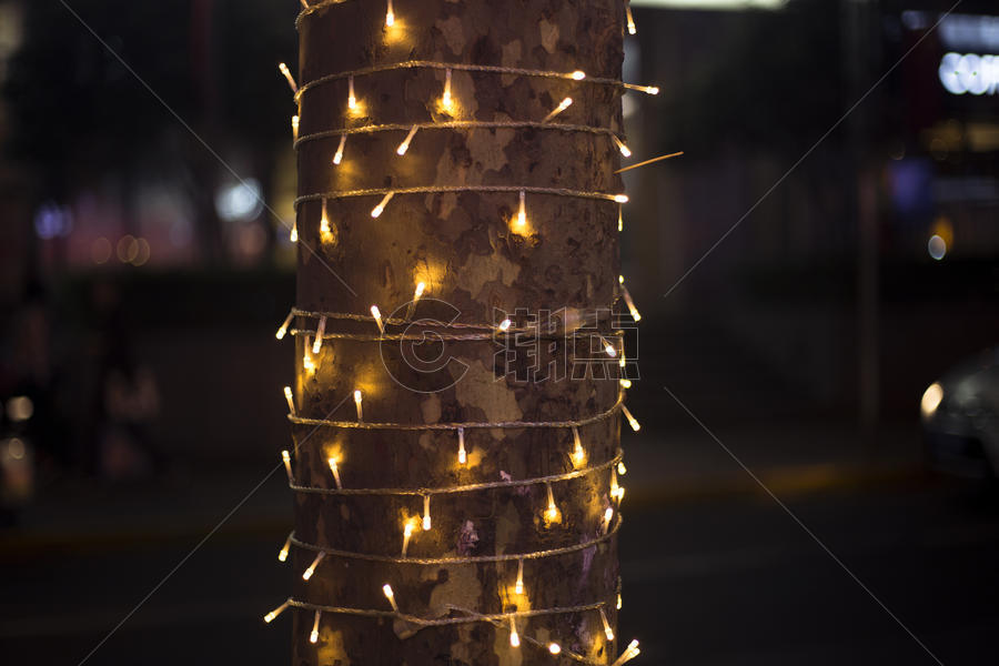 树干上的灯泡图片素材免费下载