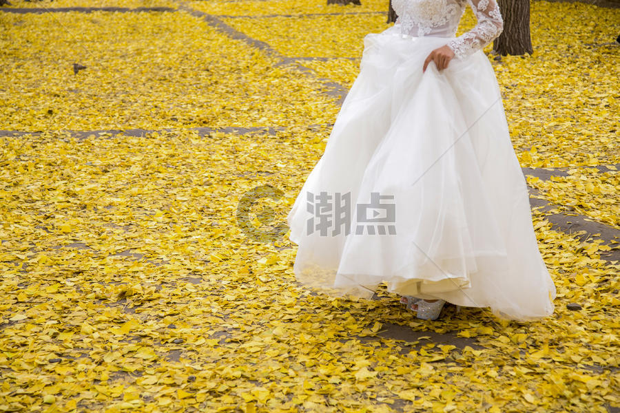 新娘下秋叶图片素材免费下载