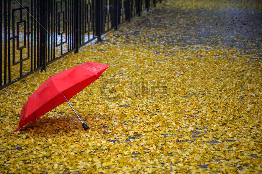 秋雨.红伞图片素材免费下载