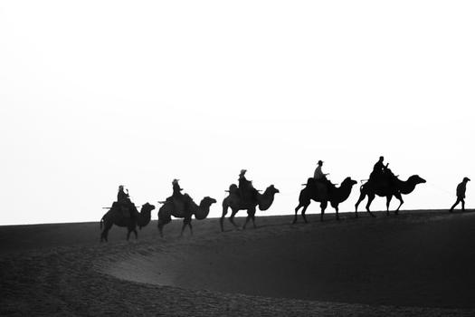 鸣沙山骆驼队剪影图片素材免费下载