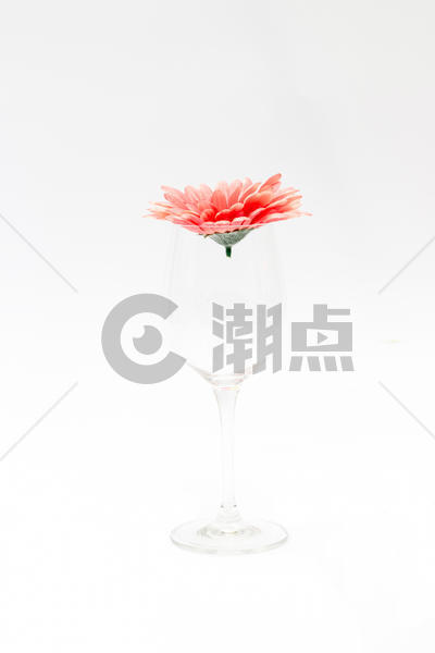 花与玻璃杯图片素材免费下载