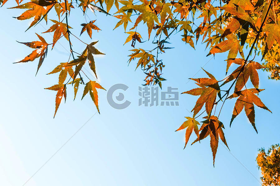 秋景图片素材免费下载