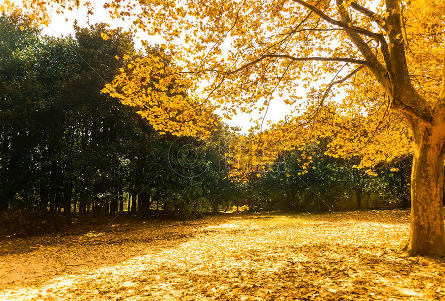 秋景图片素材免费下载