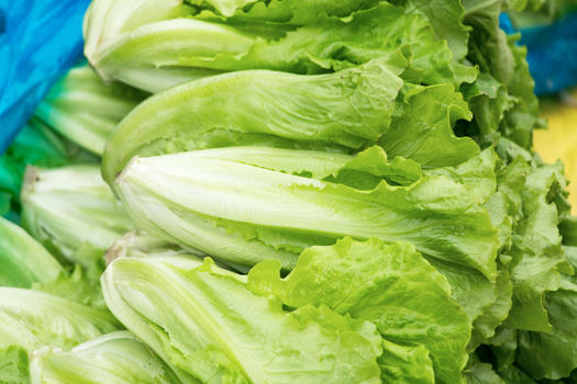 新鲜的绿色蔬菜生菜图片素材免费下载