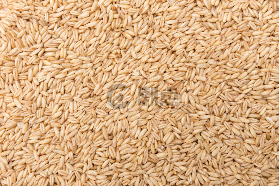 谷物燕麦米食物背景图片素材免费下载