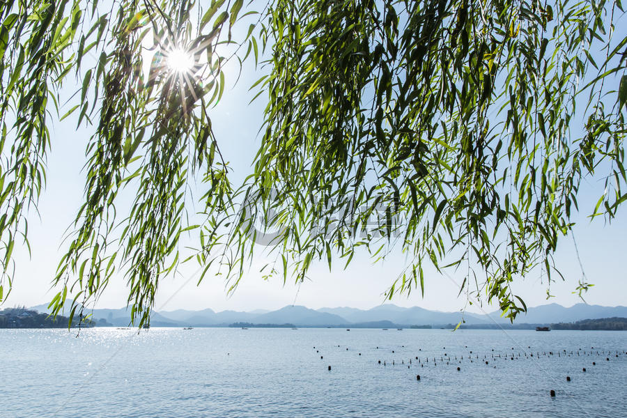 杭州西湖柳树阳光风景图片素材免费下载