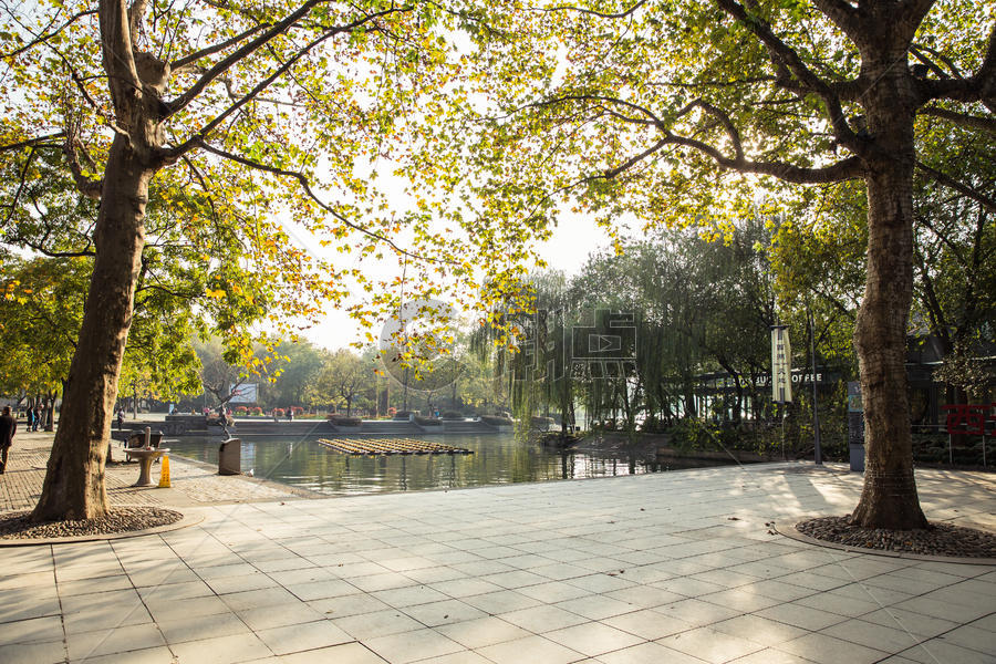 杭州西湖阳光大树广场图片素材免费下载