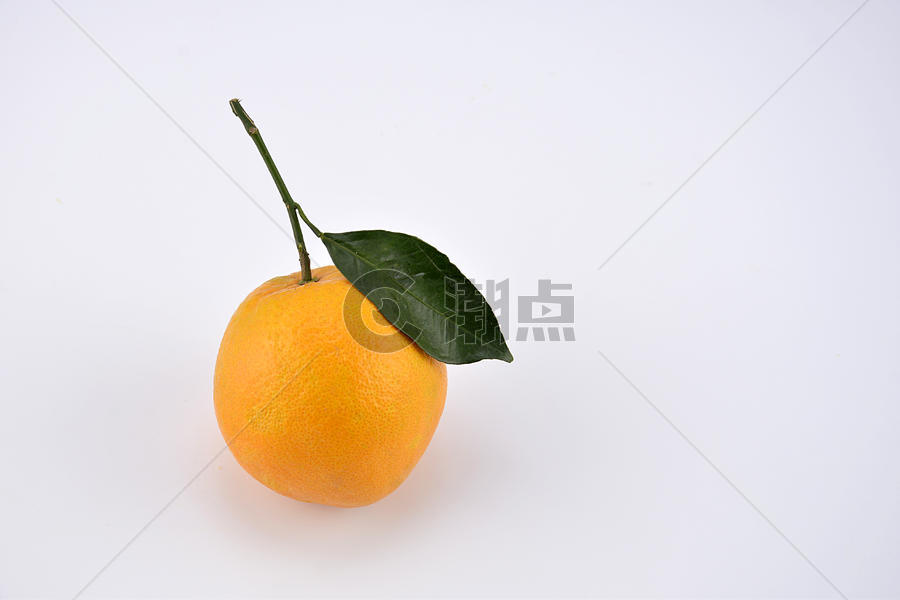 橙子背景水果切片摆拍图片素材免费下载