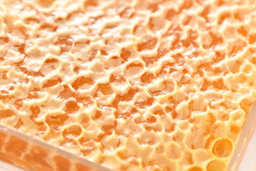 蜂蜜蜂巢图片素材免费下载