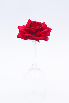 玻璃杯里的玫瑰图片素材免费下载
