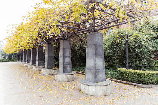 城市公园建筑设施清新长廊图片素材免费下载